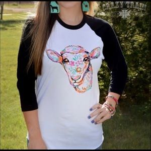 Sheep Show Down Large new